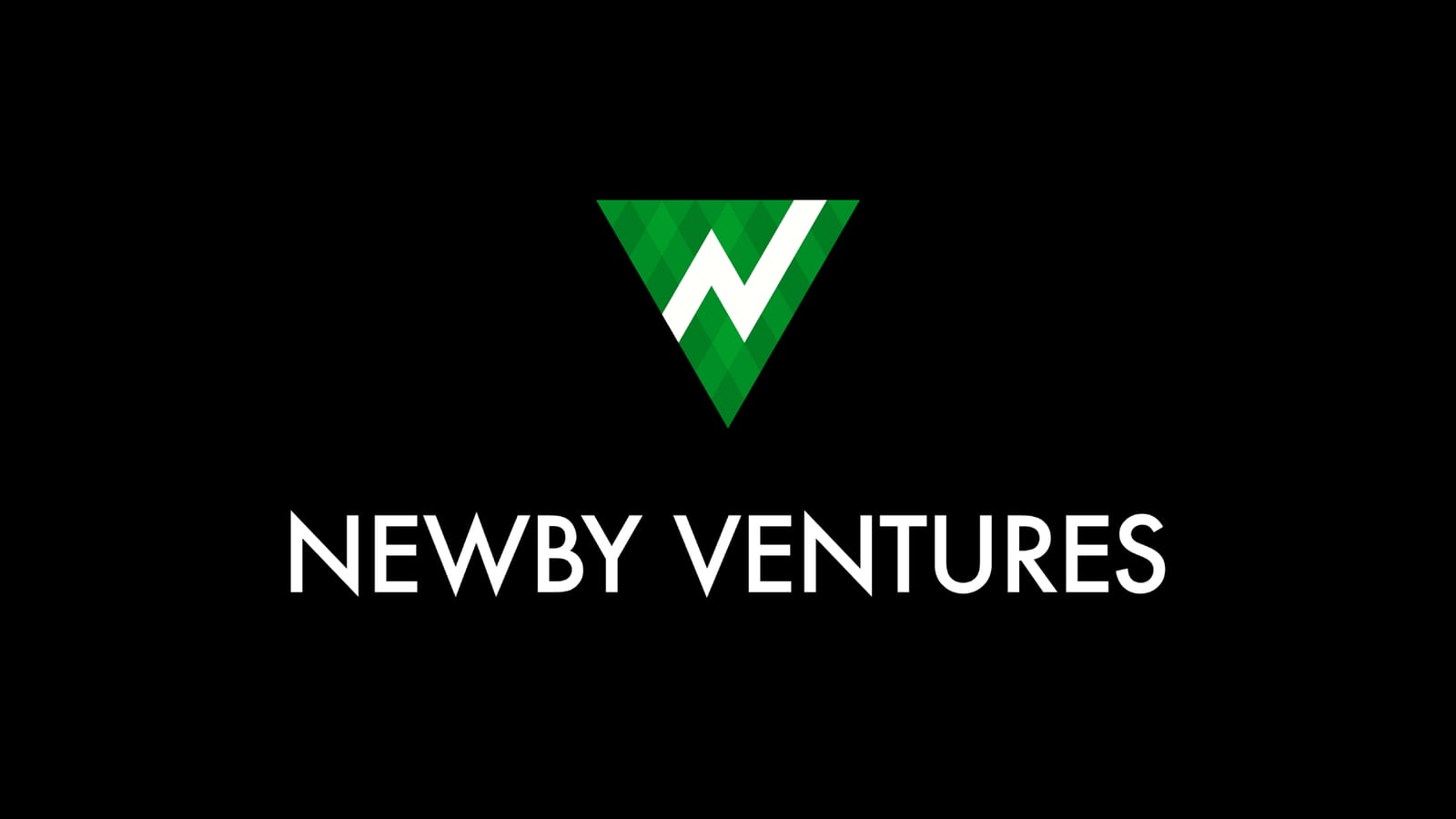 Newby Ventures — logo